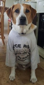 Ringo Royce